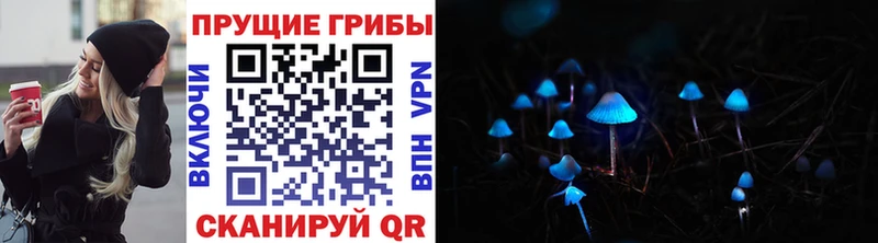 Псилоцибиновые грибы Magic Shrooms  где продают   shop какой сайт  Лиски 